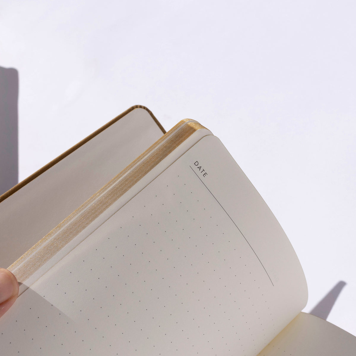 Diary Planner 2027 - Gold