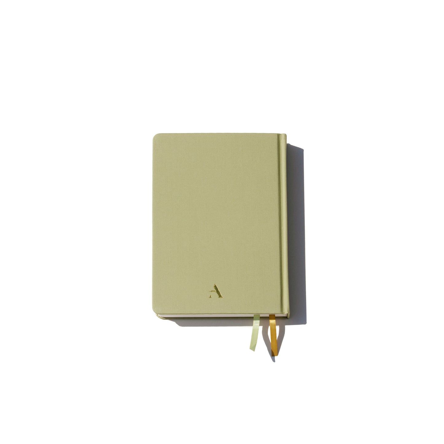 2026 Diary ~ Minty Martini (mint green)