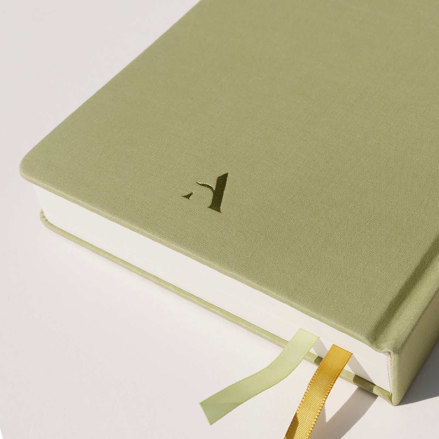 2026 Diary ~ Minty Martini (mint green)