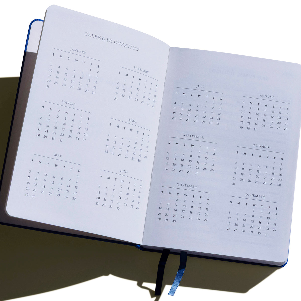 Diary Planner 2027 - Pink Flossy Dreams