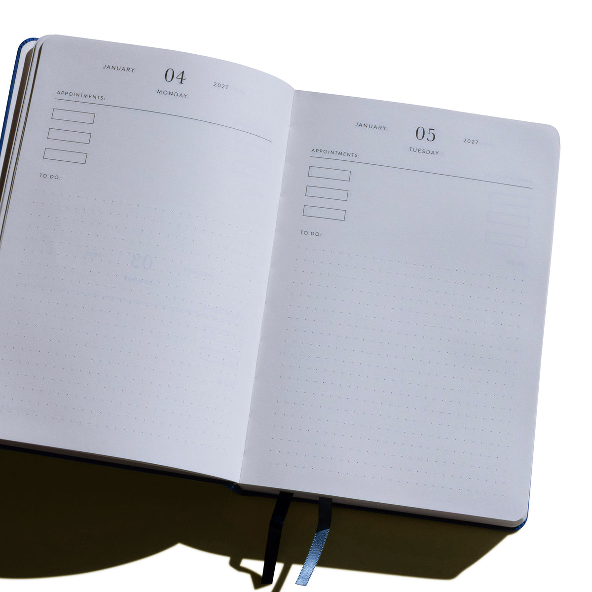 Diary Planner 2027 - Pink Flossy Dreams